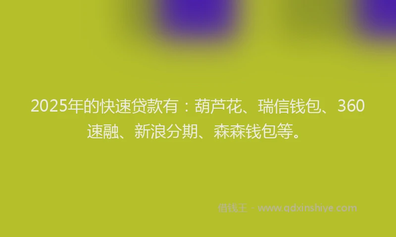 2025年的快速贷款有：葫芦花、瑞信钱包、360速融、新浪分期、森森钱包等。