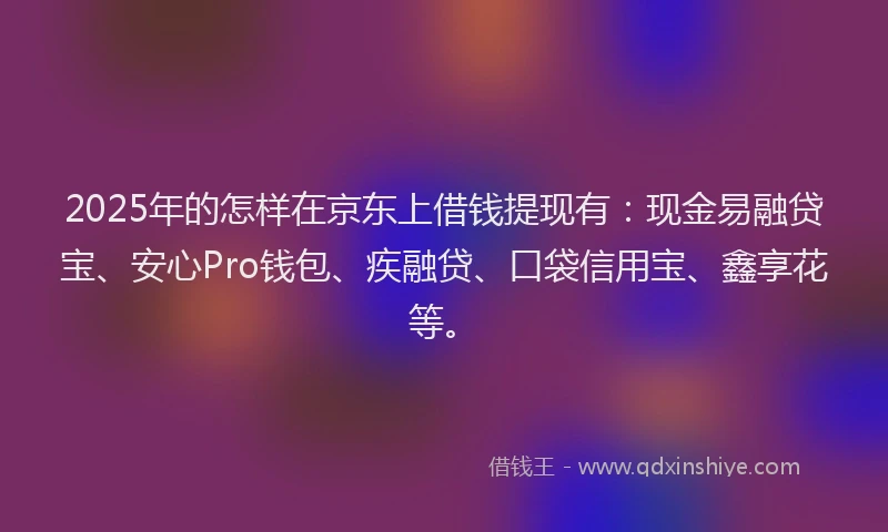 2025年的怎样在京东上借钱提现有：现金易融贷宝、安心Pro钱包、疾融贷、口袋信用宝、鑫享花等。