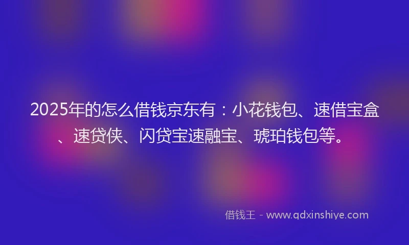 2025年的怎么借钱京东有：小花钱包、速借宝盒、速贷侠、闪贷宝速融宝、琥珀钱包等。