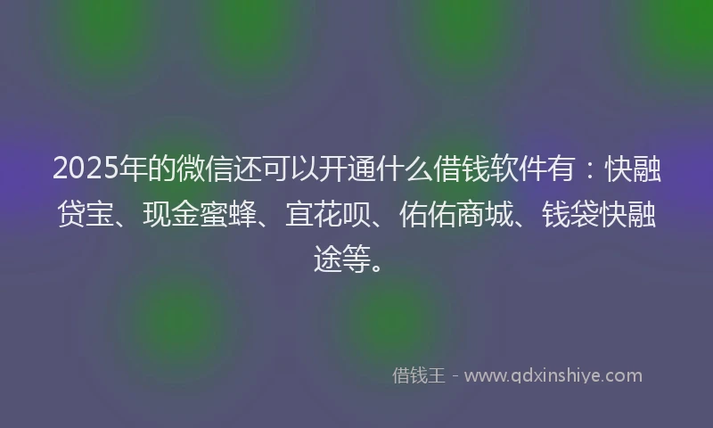 2025年的微信还可以开通什么借钱软件有：快融贷宝、现金蜜蜂、宜花呗、佑佑商城、钱袋快融途等。
