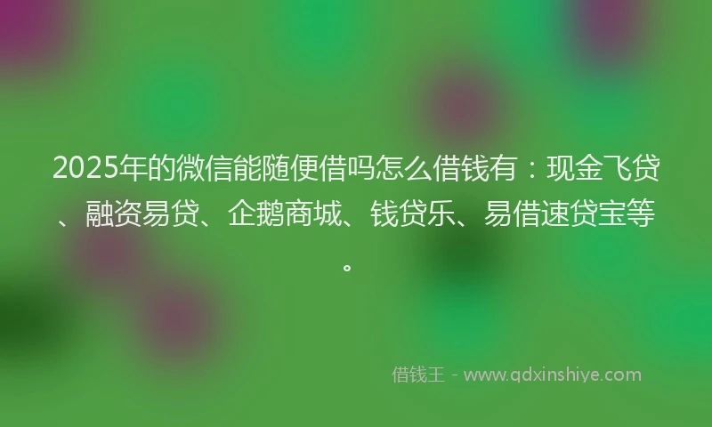 2025年的微信能随便借吗怎么借钱有：现金飞贷、融资易贷、企鹅商城、钱贷乐、易借速贷宝等。