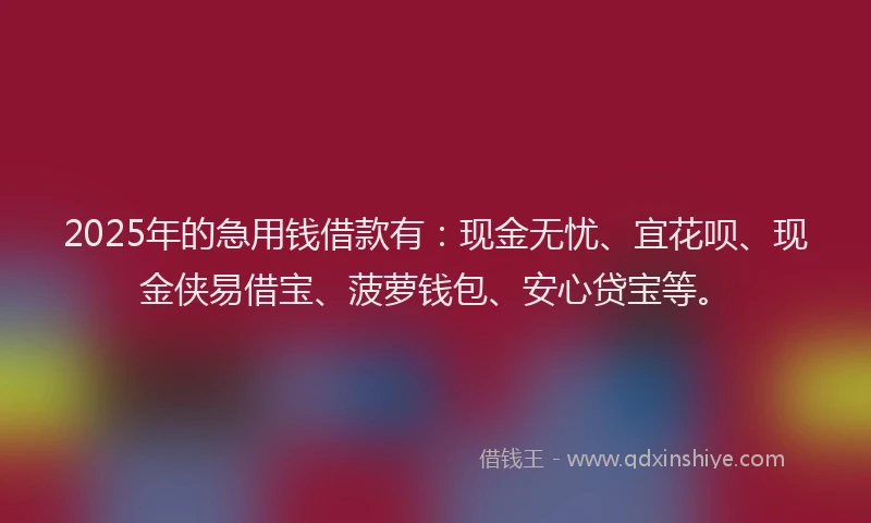 2025年的急用钱借款有：现金无忧、宜花呗、现金侠易借宝、菠萝钱包、安心贷宝等。