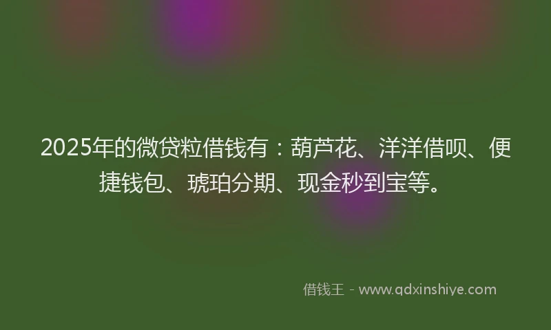 2025年的微贷粒借钱有：葫芦花、洋洋借呗、便捷钱包、琥珀分期、现金秒到宝等。