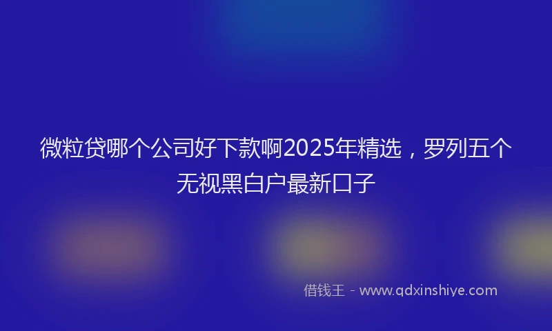 微粒贷哪个公司好下款啊2025年精选，罗列五个无视黑白户最新口子