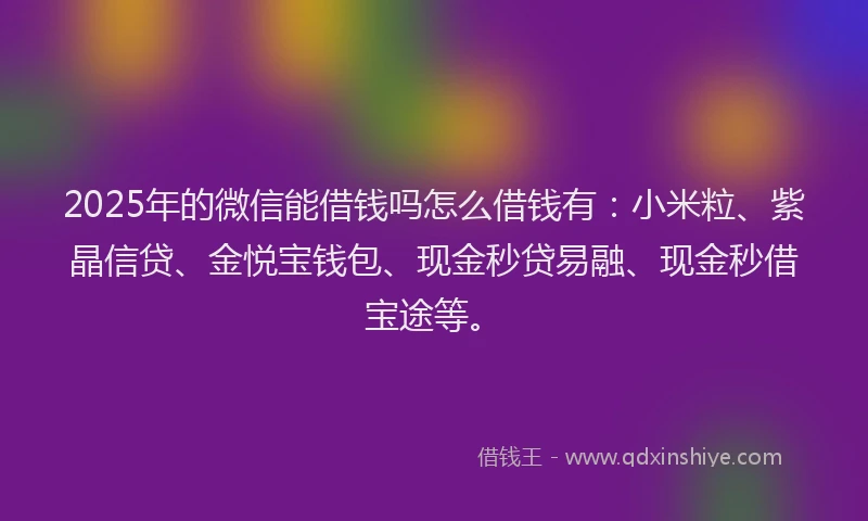 2025年的微信能借钱吗怎么借钱有：小米粒、紫晶信贷、金悦宝钱包、现金秒贷易融、现金秒借宝途等。