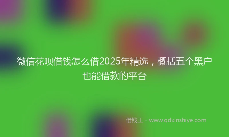 微信花呗借钱怎么借2025年精选，概括五个黑户也能借款的平台