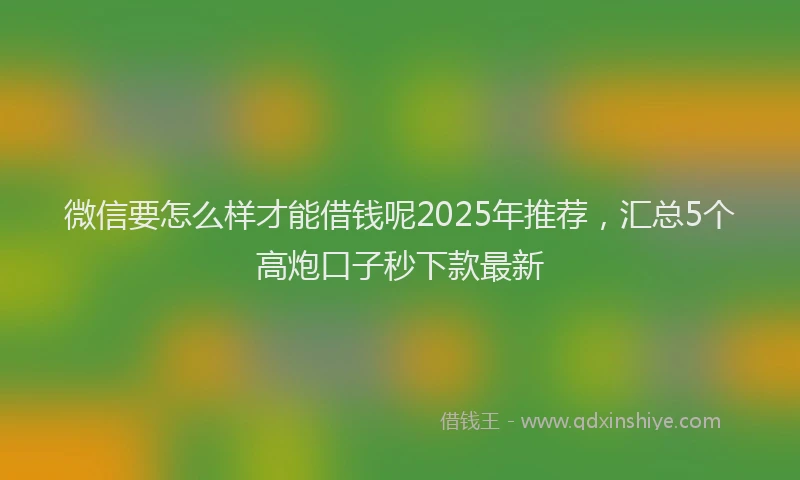 微信要怎么样才能借钱呢2025年推荐，汇总5个高炮口子秒下款最新