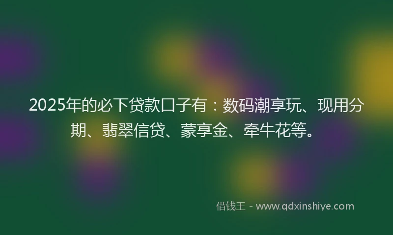 2025年的必下贷款口子有：数码潮享玩、现用分期、翡翠信贷、蒙享金、牵牛花等。