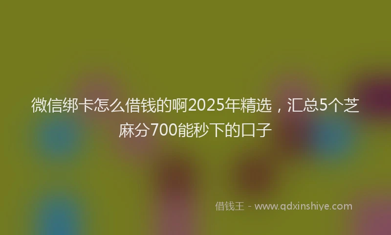 微信绑卡怎么借钱的啊2025年精选，汇总5个芝麻分700能秒下的口子