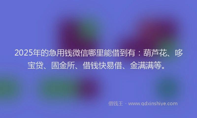 2025年的急用钱微信哪里能借到有:葫芦花、哆宝贷、固金所、借钱快易借、金满满等。