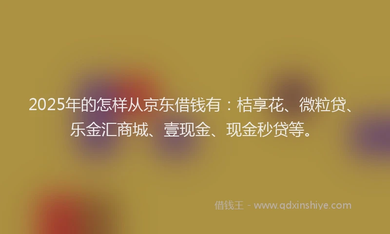2025年的怎样从京东借钱有：桔享花、微粒贷、乐金汇商城、壹现金、现金秒贷等。