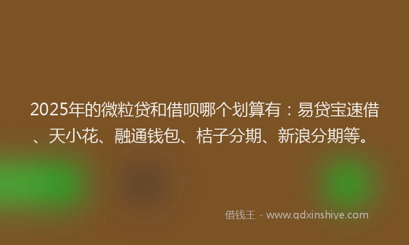 2025年的微粒贷和借呗哪个划算有：易贷宝速借、天小花、融通钱包、桔子分期、新浪分期等。