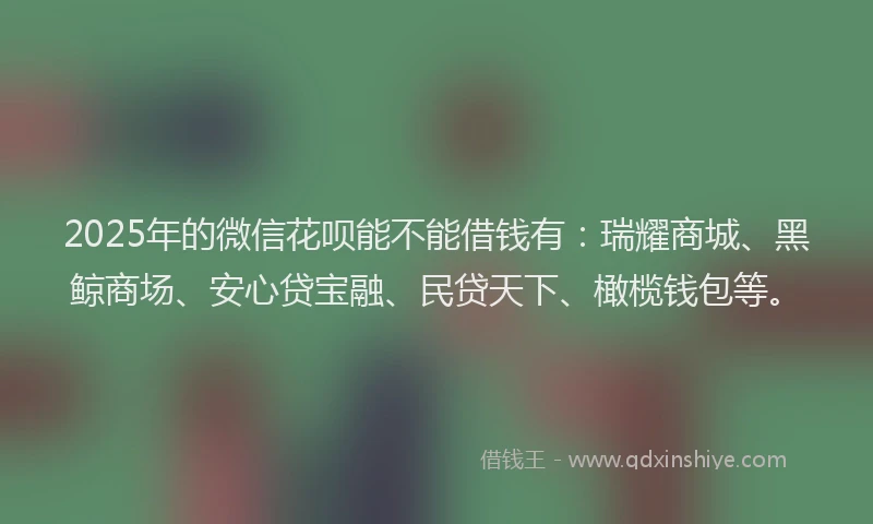 2025年的微信花呗能不能借钱有：瑞耀商城、黑鲸商场、安心贷宝融、民贷天下、橄榄钱包等。