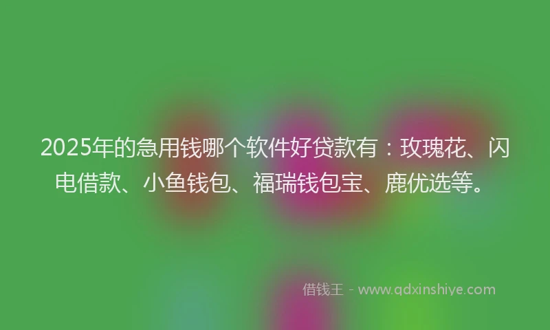 2025年的急用钱哪个软件好贷款有：玫瑰花、闪电借款、小鱼钱包、福瑞钱包宝、鹿优选等。