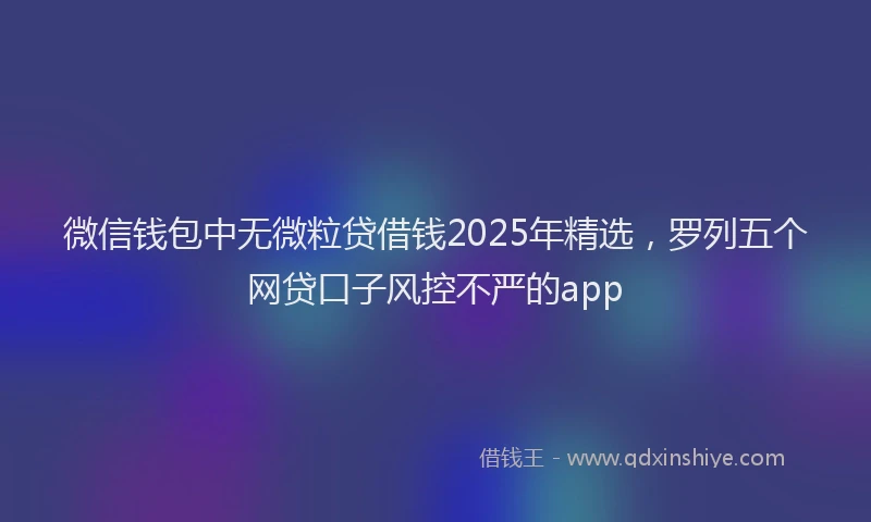 微信钱包中无微粒贷借钱2025年精选，罗列五个网贷口子风控不严的app