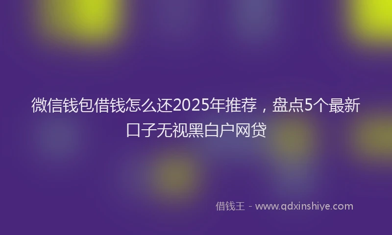微信钱包借钱怎么还2025年推荐，盘点5个最新口子无视黑白户网贷