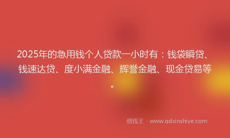 2025年的急用钱个人贷款一小时有：钱袋瞬贷、钱速达贷、度小满金融、辉誉金融、现金贷易等。