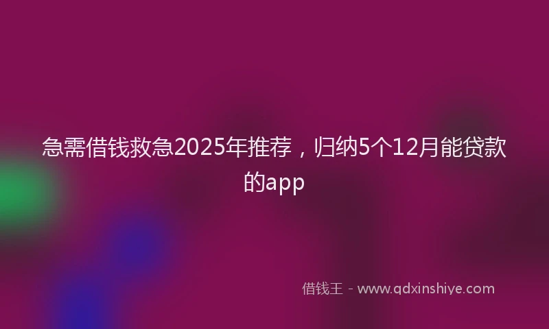急需借钱救急2025年推荐，归纳5个12月能贷款的app