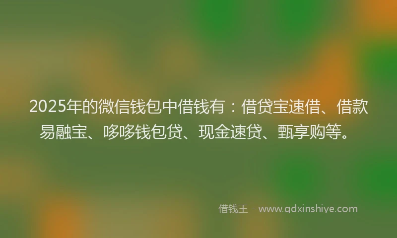2025年的微信钱包中借钱有：借贷宝速借、借款易融宝、哆哆钱包贷、现金速贷、甄享购等。