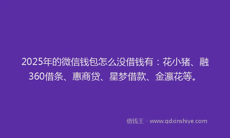 2025年的微信钱包怎么没借钱有：花小猪、融360借条、惠商贷、星梦借款、金瀛花等。