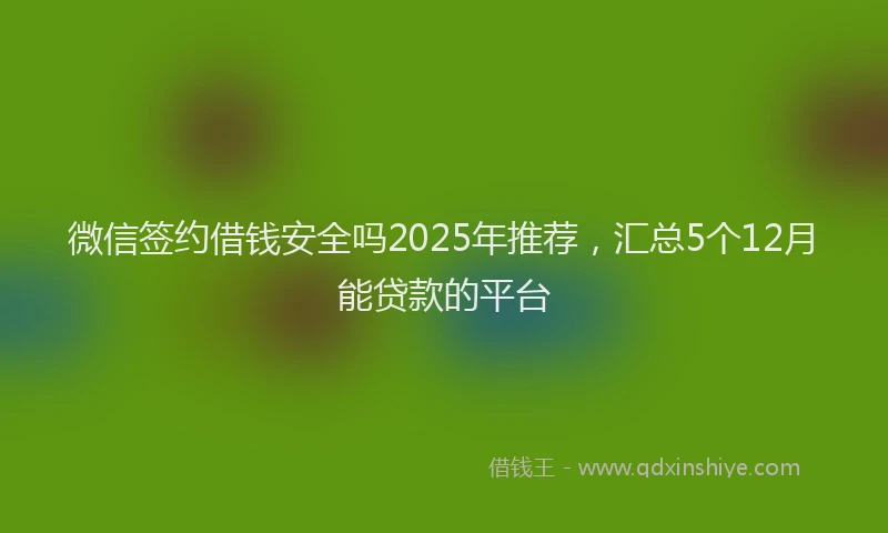 微信签约借钱安全吗2025年推荐，汇总5个12月能贷款的平台