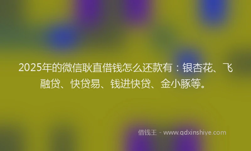 2025年的微信耿直借钱怎么还款有：银杏花、飞融贷、快贷易、钱进快贷、金小豚等。