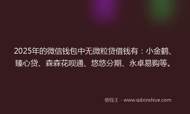 2025年的微信钱包中无微粒贷借钱有：小金鹤、臻心贷、森森花呗通、悠悠分期、永卓易购等。