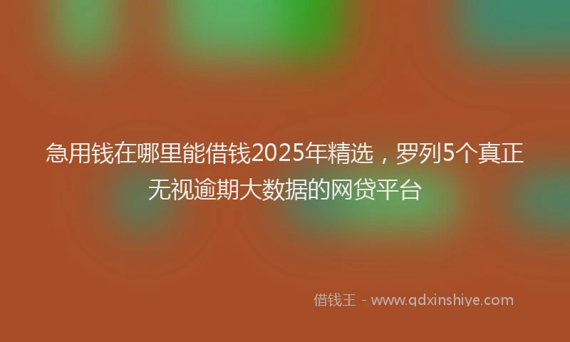 急用钱在哪里能借钱2025年精选，罗列5个真正无视逾期大数据的网贷平台