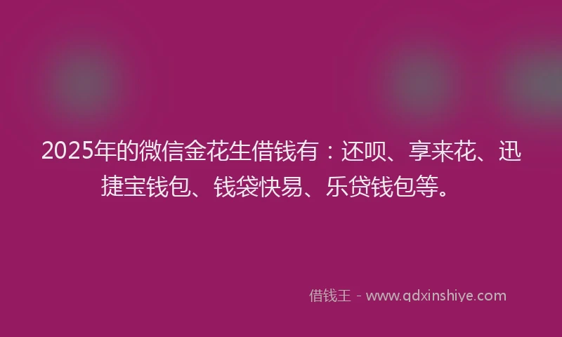 2025年的微信金花生借钱有：还呗、享来花、迅捷宝钱包、钱袋快易、乐贷钱包等。
