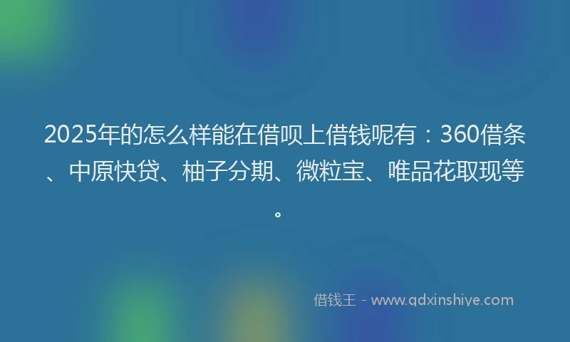 2025年的怎么样能在借呗上借钱呢有：360借条、中原快贷、柚子分期、微粒宝、唯品花取现等。