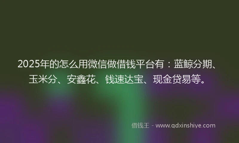 2025年的怎么用微信做借钱平台有：蓝鲸分期、玉米分、安鑫花、钱速达宝、现金贷易等。
