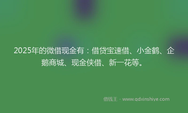 2025年的微借现金有：借贷宝速借、小金鹤、企鹅商城、现金侠借、新一花等。