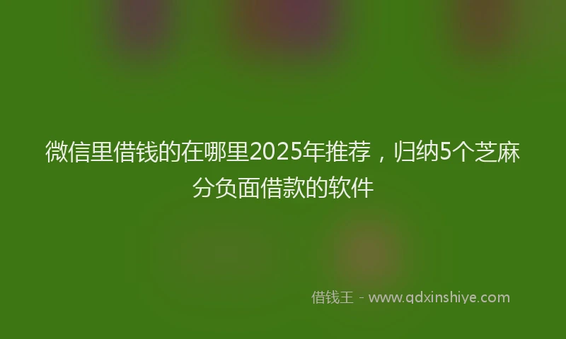 微信里借钱的在哪里2025年推荐，归纳5个芝麻分负面借款的软件