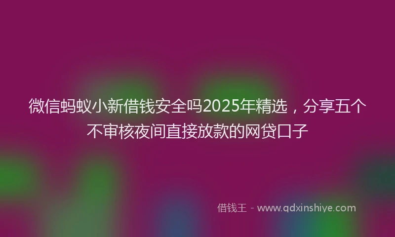 微信蚂蚁小新借钱安全吗2025年精选，分享五个不审核夜间直接放款的网贷口子