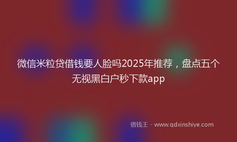 微信米粒贷借钱要人脸吗2025年推荐，盘点五个无视黑白户秒下款app