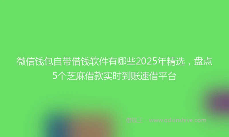 微信钱包自带借钱软件有哪些2025年精选，盘点5个芝麻借款实时到账速借平台