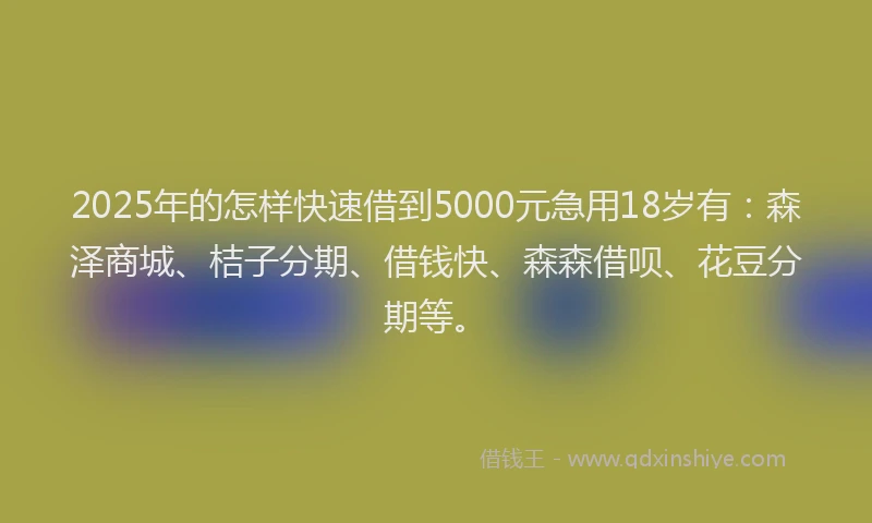 2025年的怎样快速借到5000元急用18岁有：森泽商城、桔子分期、借钱快、森森借呗、花豆分期等。
