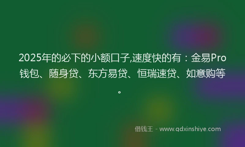 2025年的必下的小额口子,速度快的有：金易Pro钱包、随身贷、东方易贷、恒瑞速贷、如意购等。