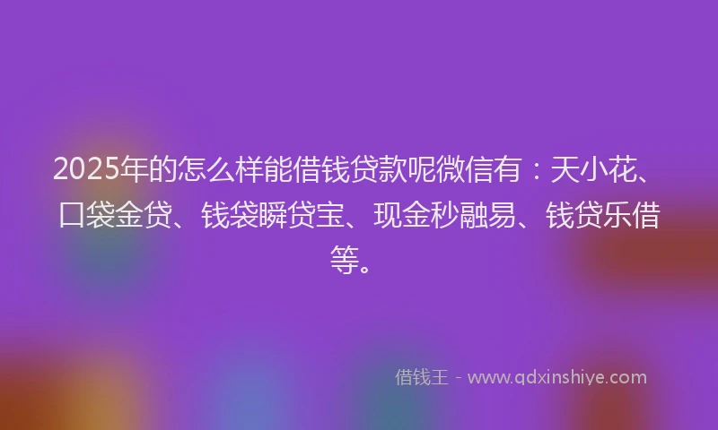 2025年的怎么样能借钱贷款呢微信有：天小花、口袋金贷、钱袋瞬贷宝、现金秒融易、钱贷乐借等。
