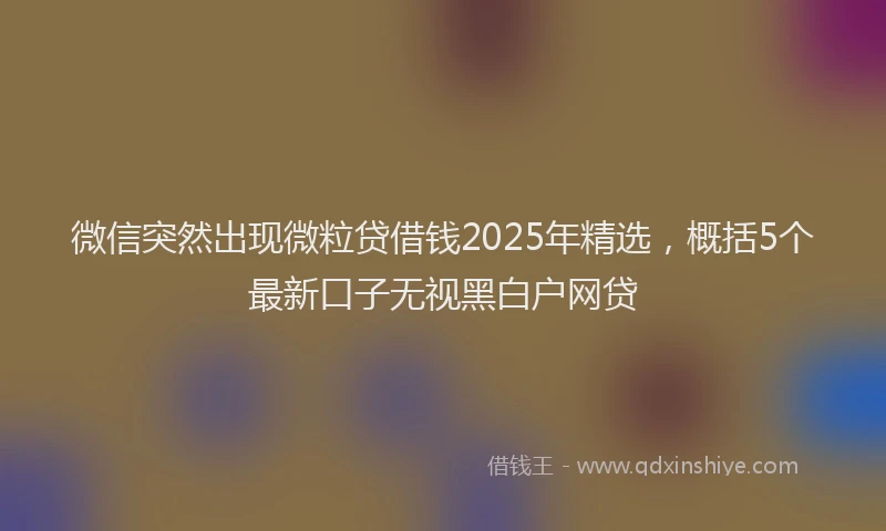 微信突然出现微粒贷借钱2025年精选，概括5个最新口子无视黑白户网贷