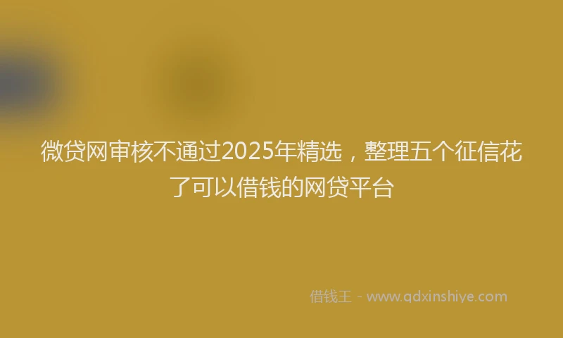 微贷网审核不通过2025年精选，整理五个征信花了可以借钱的网贷平台