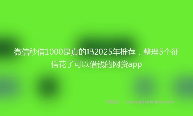 微信秒借1000是真的吗2025年推荐，整理5个征信花了可以借钱的网贷app