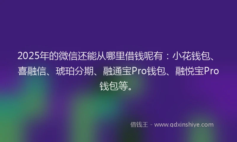 2025年的微信还能从哪里借钱呢有：小花钱包、喜融信、琥珀分期、融通宝Pro钱包、融悦宝Pro钱包等。