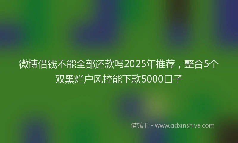 微博借钱不能全部还款吗2025年推荐，整合5个双黑烂户风控能下款5000口子