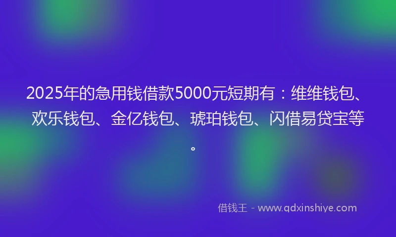 2025年的急用钱借款5000元短期有：维维钱包、欢乐钱包、金亿钱包、琥珀钱包、闪借易贷宝等。