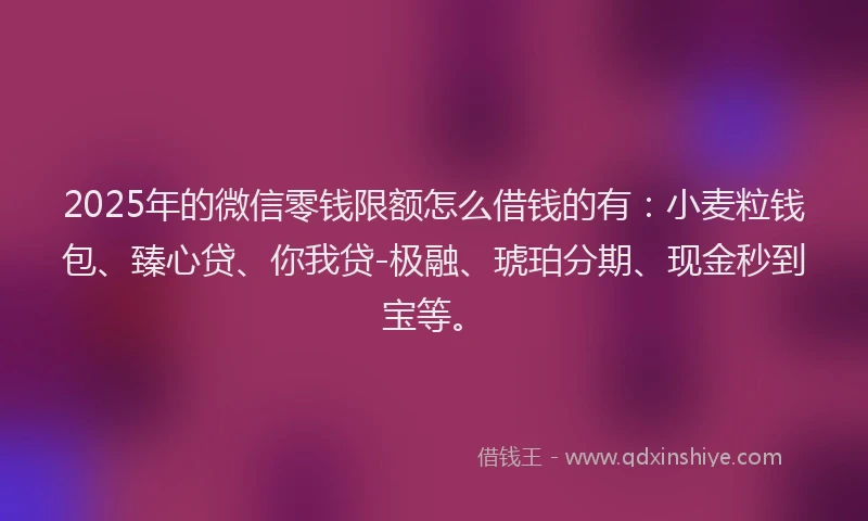 2025年的微信零钱限额怎么借钱的有：小麦粒钱包、臻心贷、你我贷-极融、琥珀分期、现金秒到宝等。