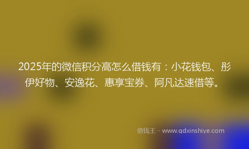 2025年的微信积分高怎么借钱有：小花钱包、彤伊好物、安逸花、惠享宝券、阿凡达速借等。