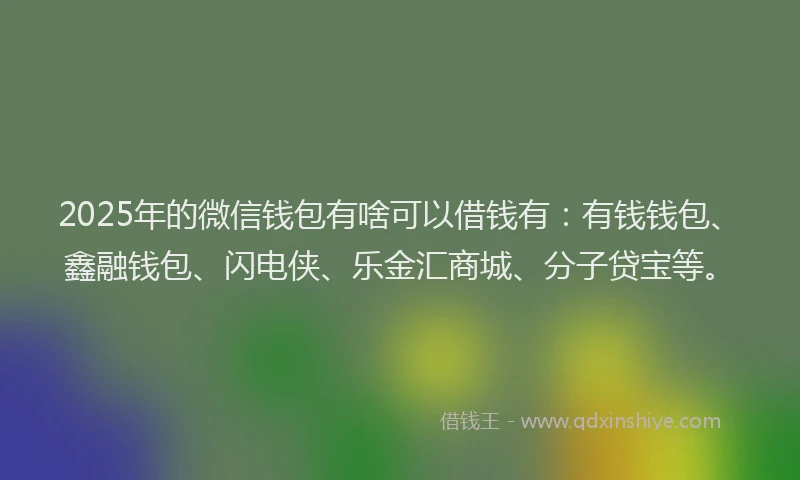 2025年的微信钱包有啥可以借钱有：有钱钱包、鑫融钱包、闪电侠、乐金汇商城、分子贷宝等。
