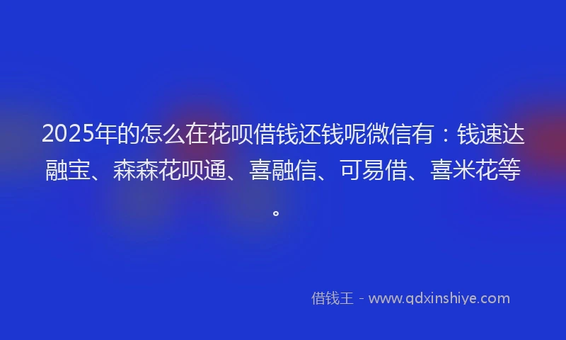 2025年的怎么在花呗借钱还钱呢微信有：钱速达融宝、森森花呗通、喜融信、可易借、喜米花等。