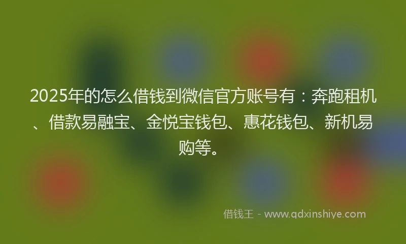 2025年的怎么借钱到微信官方账号有：奔跑租机、借款易融宝、金悦宝钱包、惠花钱包、新机易购等。